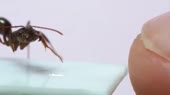 478x268