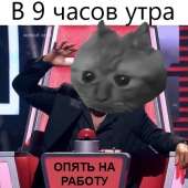 480x480