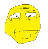 259x261