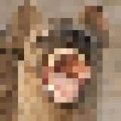 250x250