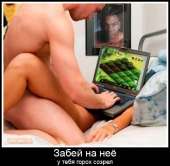 500x490