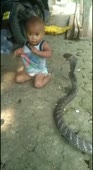 352x640