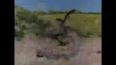 640x360