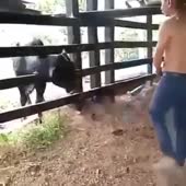 360x360