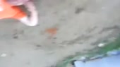 480x271