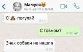 589x369