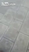 202x360