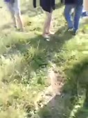 270x360