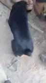 360x640