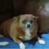 360x360