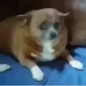 360x360