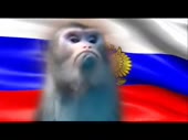 640x480