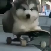 360x360