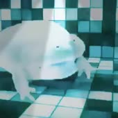 360x360