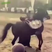 360x360