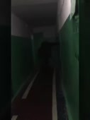 270x360