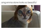 460x307