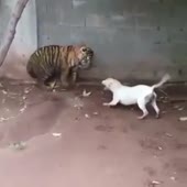360x360