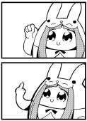492x675