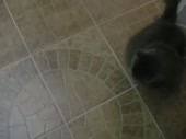 480x360