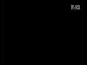 320x240