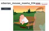 765x494