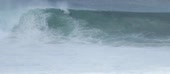 1010x444
