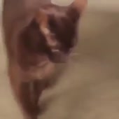 360x360