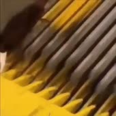 480x480