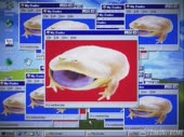 480x360