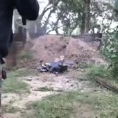 360x360