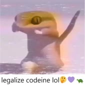 720x720