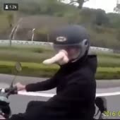 320x320