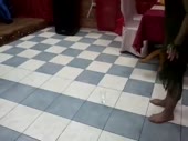 480x360
