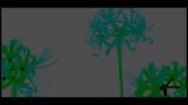 1280x720