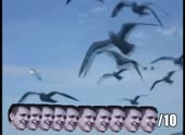 490x360