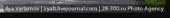 298x33