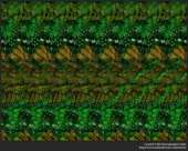500x400