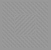 588x576