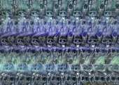 1024x732