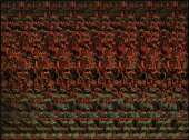 1200x896