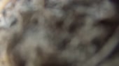 1280x720