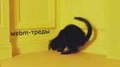 1280x720