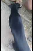 720x1080