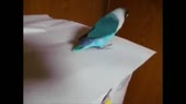 400x224