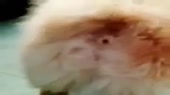 400x224