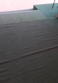 568x808