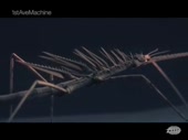 320x240