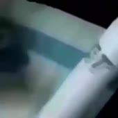 360x360
