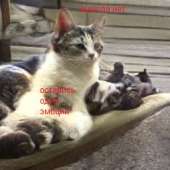 256x256